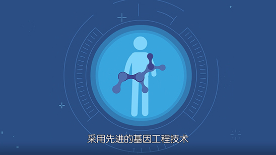 南海朗肽盖扶动画案例